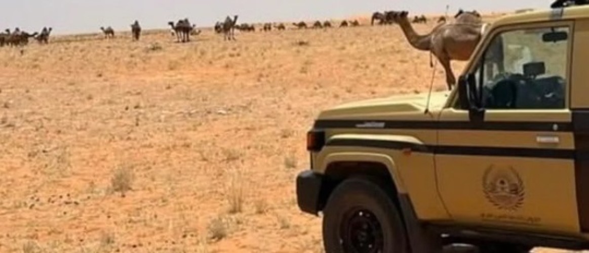 ضبط مواطنين ارتكبا مخالفات بيئية.. وغرامات تصل إلى 31.5 ألف ريال