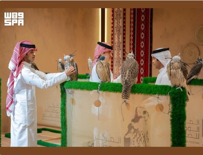 المزاد الدولي لمزارع إنتاج الصقور يعزز الاقتصاد المرتبط بمنظومة الصقارة