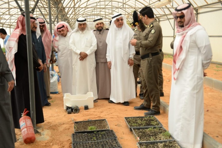 غرس 1000 شجرة من نبات المورينقا والسدر بإصلاحية الرياض