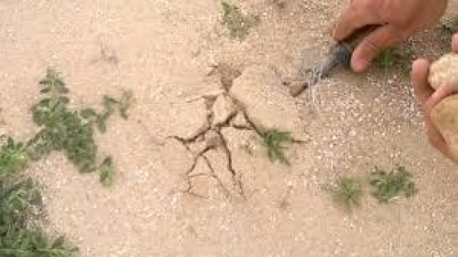 شاب يحفر الأرض بحثاً عن الفقع فتفاجأ بشيء غير متوقع