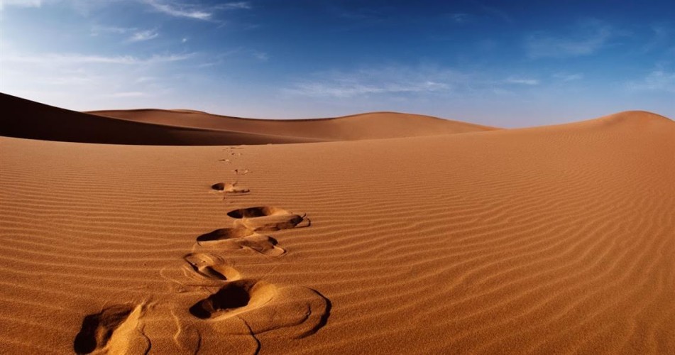 العثور على مفقود الأفلاج وقد علقت سيارته في الرمال وإحدى الآبار أبقته على قيد الحياة