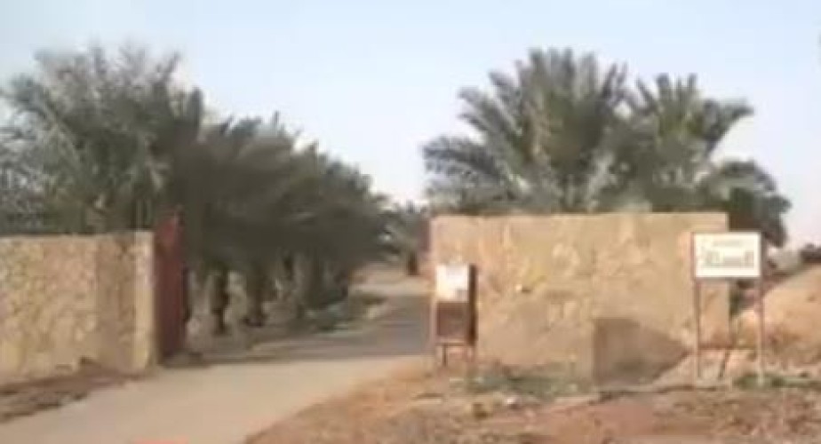 بالفيديو.. مواطن يفتح مزرعته طوال العام مجاناً متنزهاً لأهالي الجوف ووافديها والمارين بها