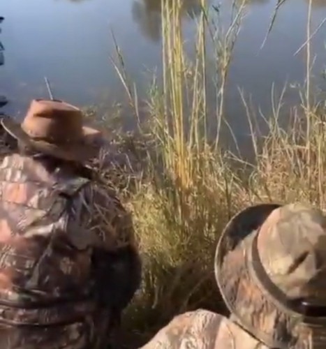 مواطنون يصطادون تمساحاً ويأكلوه.. والشيخ “الخثلان” يوضح الحكم (فيديو)