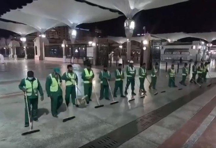 أمانة المدينة”: استعنا بخبراء والحشرة ستختفي خلال أسابيع بفعل الحر