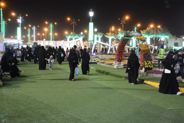 إقبالاً كبيراً على فعاليات مهرجان الزهور والبيئة بالرس