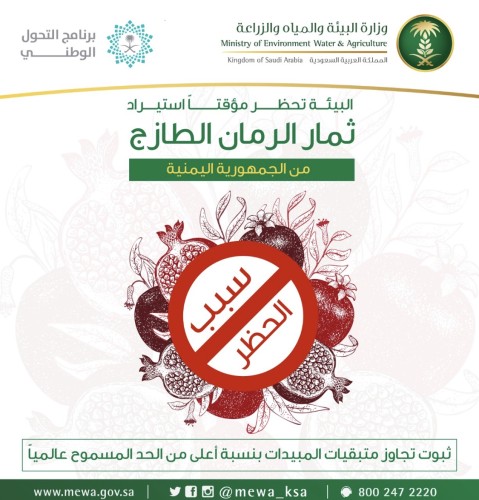 بشكل مؤقت “البيئة” تحظر استيراد ثمار الرمان من اليمن