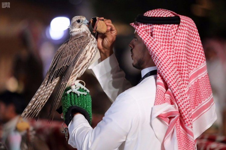 تعرف على هواية تربية الصقور وعراقتها