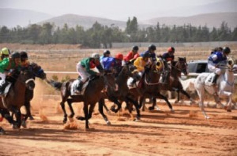 نادي الفروسية بحائل يقيم حفل سباقه الـ14