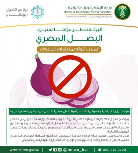 “البيئة” تحظر مؤقتاً استيراد البصل المصري بسبب تلوثه بمتبقيات المبيدات