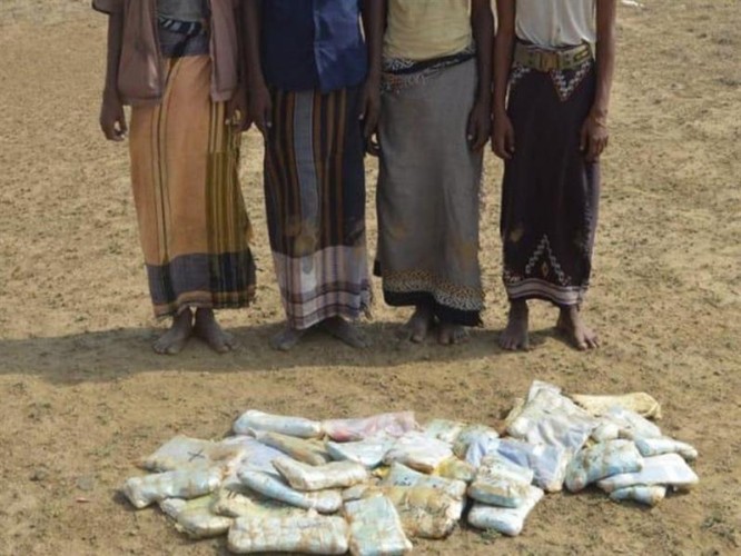 بالصور.. حرس الحدود يحبط تهريب طن وربع “حشيش” ويلقي القبض على 37 شخصاً متورطين في العملية