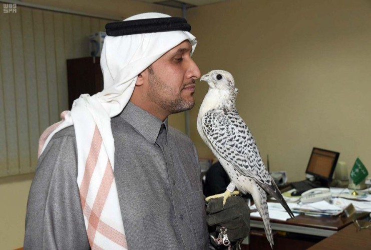 شاب “أصم” يتغلب على إعاقته ويخاطب الصقور بلغة الإشارة.. تعرف على قصته