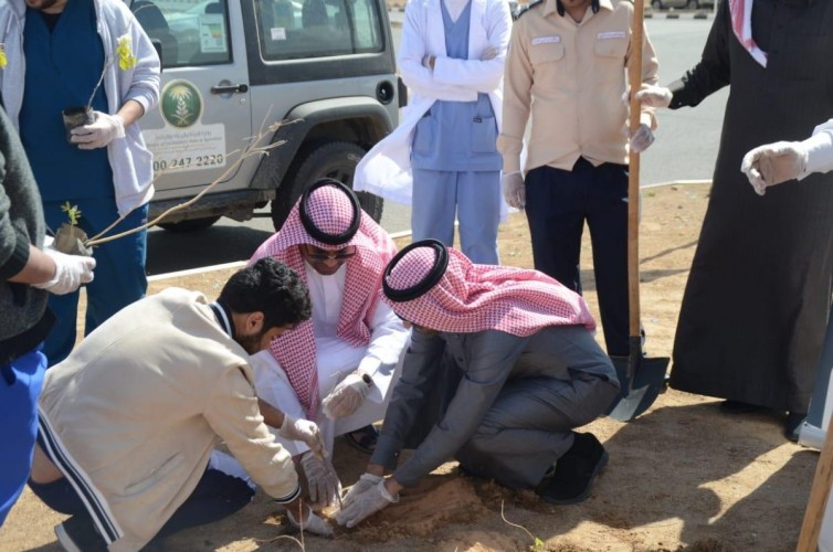 فرع وزارة البيئة بتبوك يستزرع ست أنواع من البذور على طريق شرما