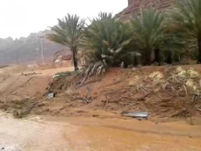 المدينة.. وفاة شخص وإنقاذ 94 محتجزاً في «سيول العلا»
