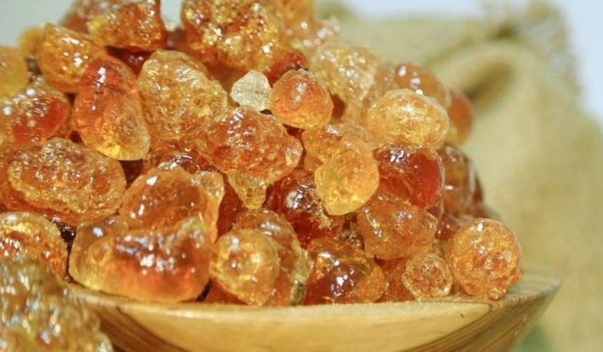 هل يعالج «الصمغ العربي» مرضى الفشل الكلوي؟.. إجابة من طبيب