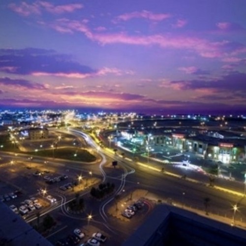 15سنة سجن عقوبة مستحدثي مزارع القات بجازان