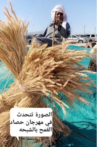 محافظ املج يرعى انطلاقة مهرجان حصاد الزرعية الاول في الشبحة