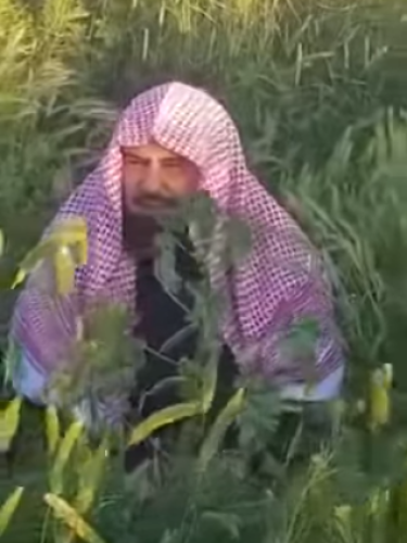 فيديو.. الشيخ عبدالرحمن السديس يتنزه في “ربيع عرعر”