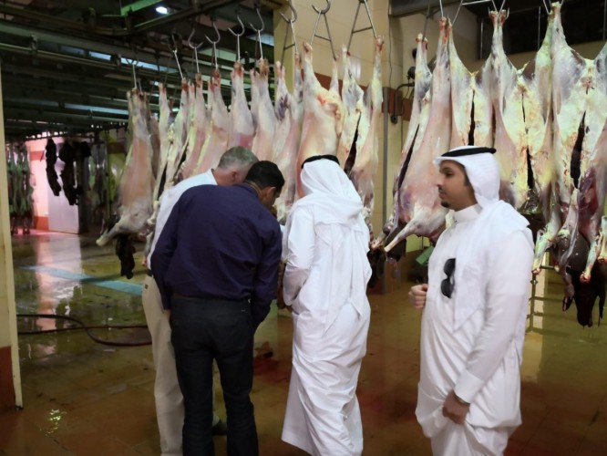 “البيئة” تبدأ بتطوير السلالات الحيوانية وراثياً بالتعاون مع نيوزلندا