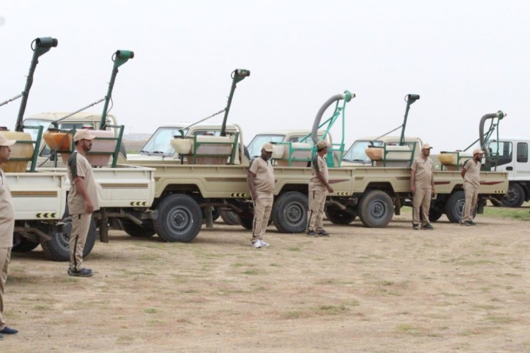 “البيئة” تكافح الجراد الصحراوي على مساحة 20 ألف هكتار خلال شهر