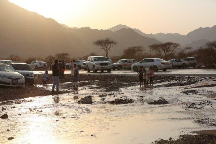 الأمطار تغير أجواء المدينة المنورة وتدفع الأهالي للتنزه في البر (صور)