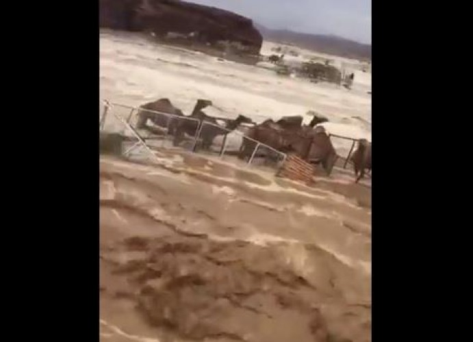 خبير طقس يحذر من وضع مراعي الإبل في بطون الأودية والمنخفضات