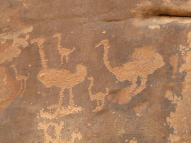 مالا تعرفه عن جبة حائل.. نقوش ورسوم ما قبل التاريخ