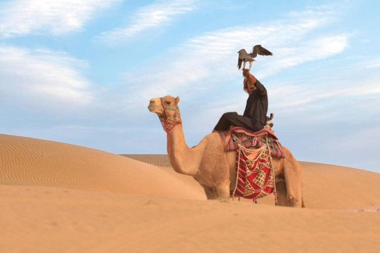 مهرجان سفاري بقيق يختتم 10 أيام من فعاليات تراث الصحراء والأصالة العربية بــ 200 ألف زائر