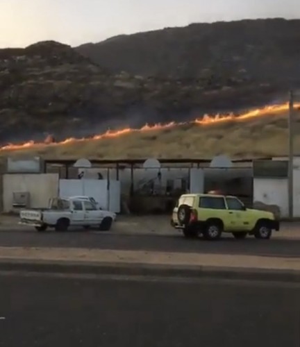 اشتعال الحرائق بحشائش ربيع السويق في ينبع النخل (فيديو)