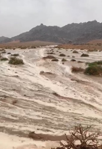 استمرار هطول الأمطار على منطقة حائل