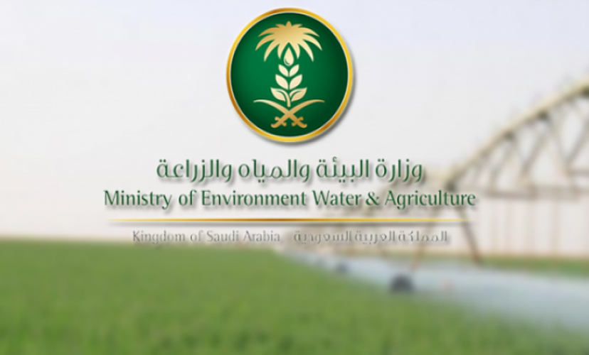 “البيئة” تطرح تطوير مرفأي القطيف والزور للاستثمار أمام القطاع الخاص