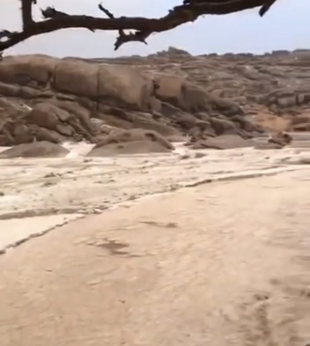 شاهد.. مواطنون يوثقون تحول الأودية لطبقات ثلجية وجريان السيول في “دخنة القصيم”