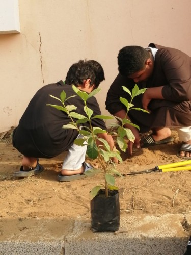 انطلاق الأعمال التطوعية بحي الملك فهد بأبو عريش