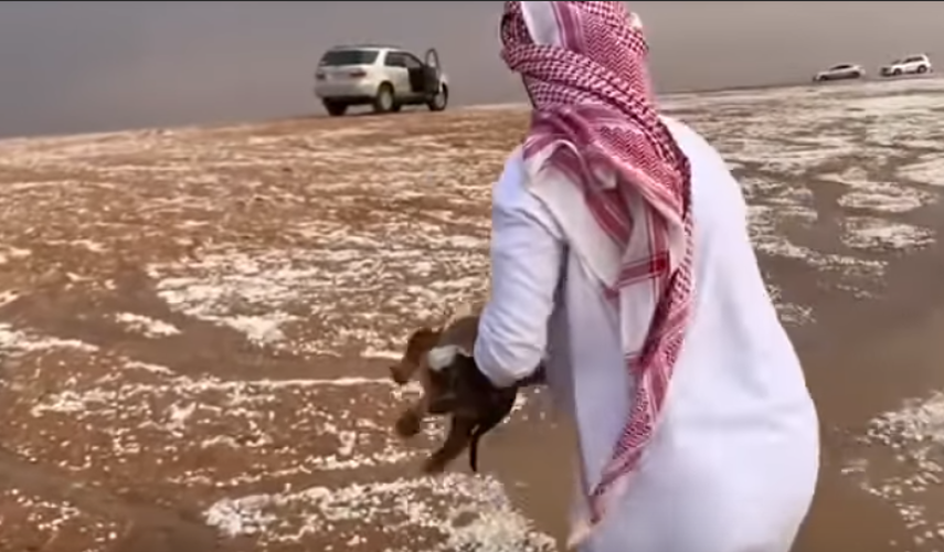 في مشهد يتسم بالرحمة والإنسانية.. مواطن ينقذ “جروين” جرفتهما مياه السيول في رماح