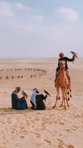 القنوات الفضائية تبدع في نقل فعاليات مهرجان الجنادرية ومهرجان سفاري بقيق