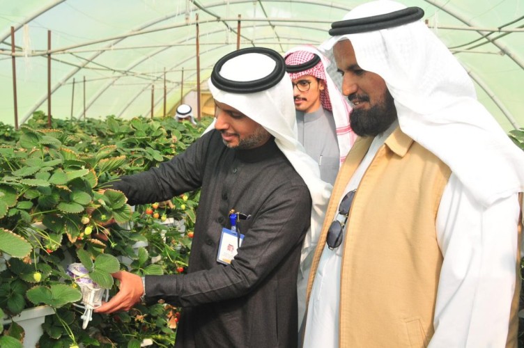 مدير عام فرع السياحة والتراث الوطني بالقصيم يزور حديقة الفراولة