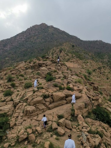 هايكنج ينفذ مسارًا للمشي على ارتفاع (٢٥١٣م) بجبال الحشر الخميس القادم