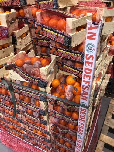 «أمانة الاحساء» مُصادرة واتلاف 187 طن ( أغذية فاسدة ) في مركزي الخُضار