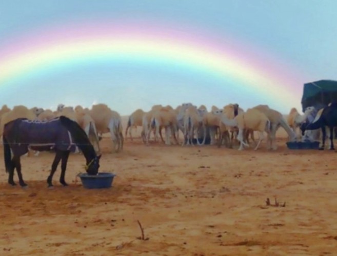 «قوس قزح» يزين سماء رفحاء بعد الأمطار والبرد