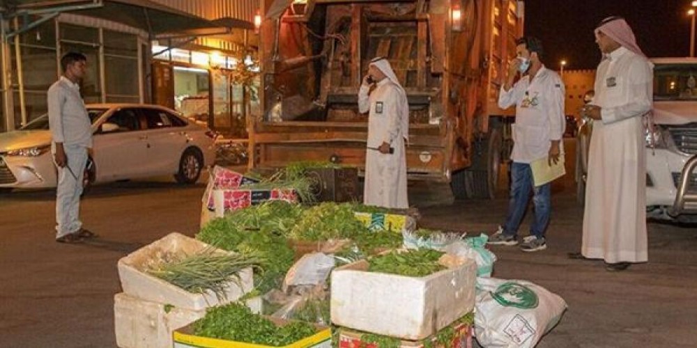 أمانة الجوف تمنع بيع البقدونس بسبب تلوثه بمتبقيات المبيدات وبكتيريا القولون