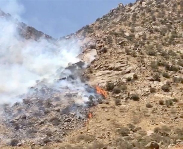 بالفيديو والصور.. حريق يلتهم 54 ألف متر من غابات وشجيرات جبل “البلس” في بلقرن