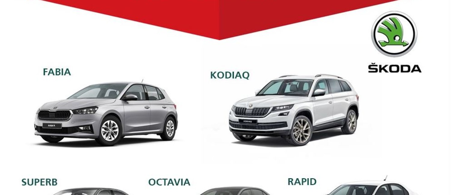 خلل في الوسادة الهوائية يستدعي 265 مركبة سكودا