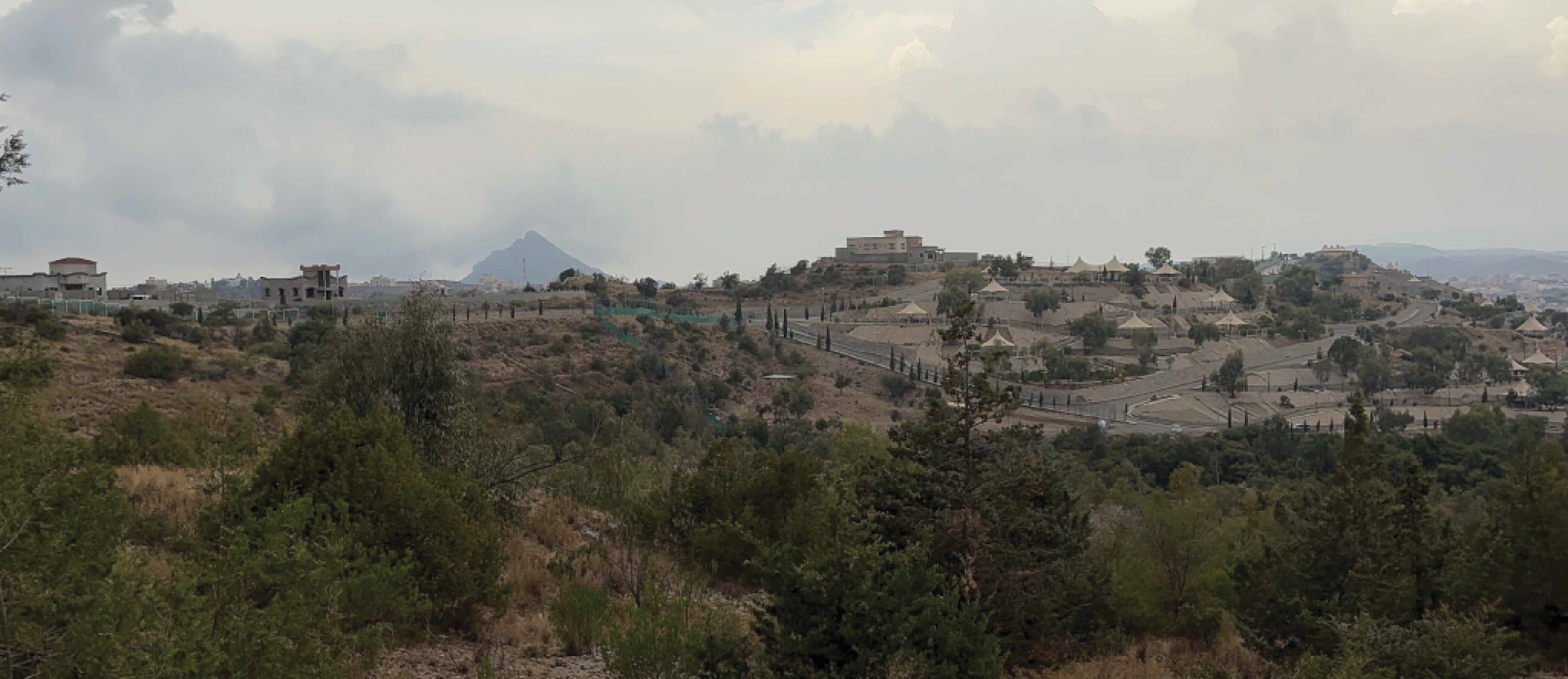 من “السكران” إلى “التلال”.. تفاصيل طرح 3 ملايين متر مربع للاستثمار البيئي في الباحة