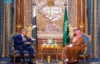 قضايا المنطقة على الطاولة.. ولي العهد يلتقي رئيس وزراء باكستان في جدة ويبحثان تعزيز الشراكة الإستراتيجية