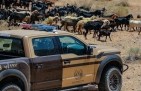 الأمن البيئي يضبط مواطنًا أشعل النار في موقع غير مخصص بالشرقية