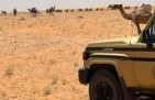 ضبط مواطنين ارتكبا مخالفات بيئية.. وغرامات تصل إلى 31.5 ألف ريال