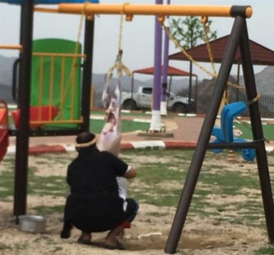 مواطن يسلخ ذبيحته على أرجوحة أطفال وسط متنزه عام بجازان.. والبلدية تتفاعل