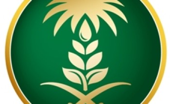 “البيئة” تعلن البدء في تقديم خدمات العمالة للمنشآت الزراعية عبر برنامج “أجير”