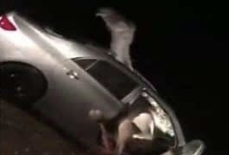 حادث مروع لحظة اصطدام سعوديين بجمل سائب على طريق بالأردن