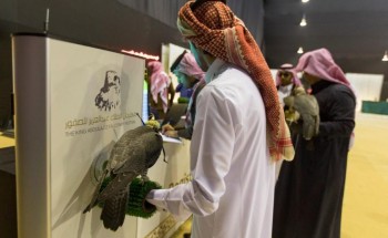 نادي الصقور يواصل تسجيل المشاركين بمهرجان المؤسس في الرياض وبريدة