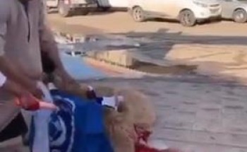 فيديو.. مواطنون ينحرون بعيراً احتفاءً بفوز الهلال ببطولة آسيا